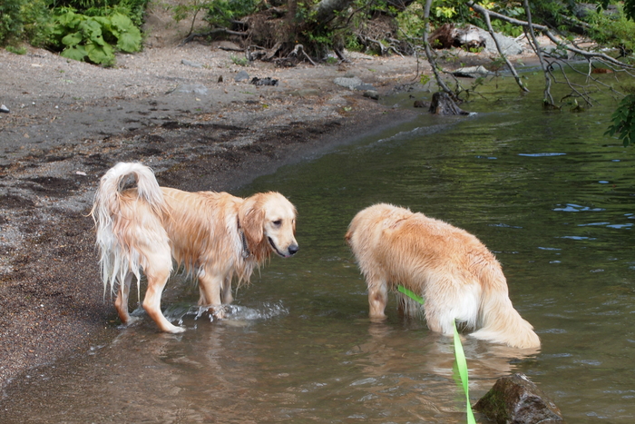 2012/8/21支笏湖_c0234416_12374953.jpg