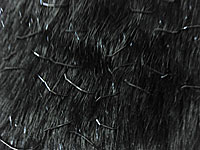 d0117518_9291296.jpg