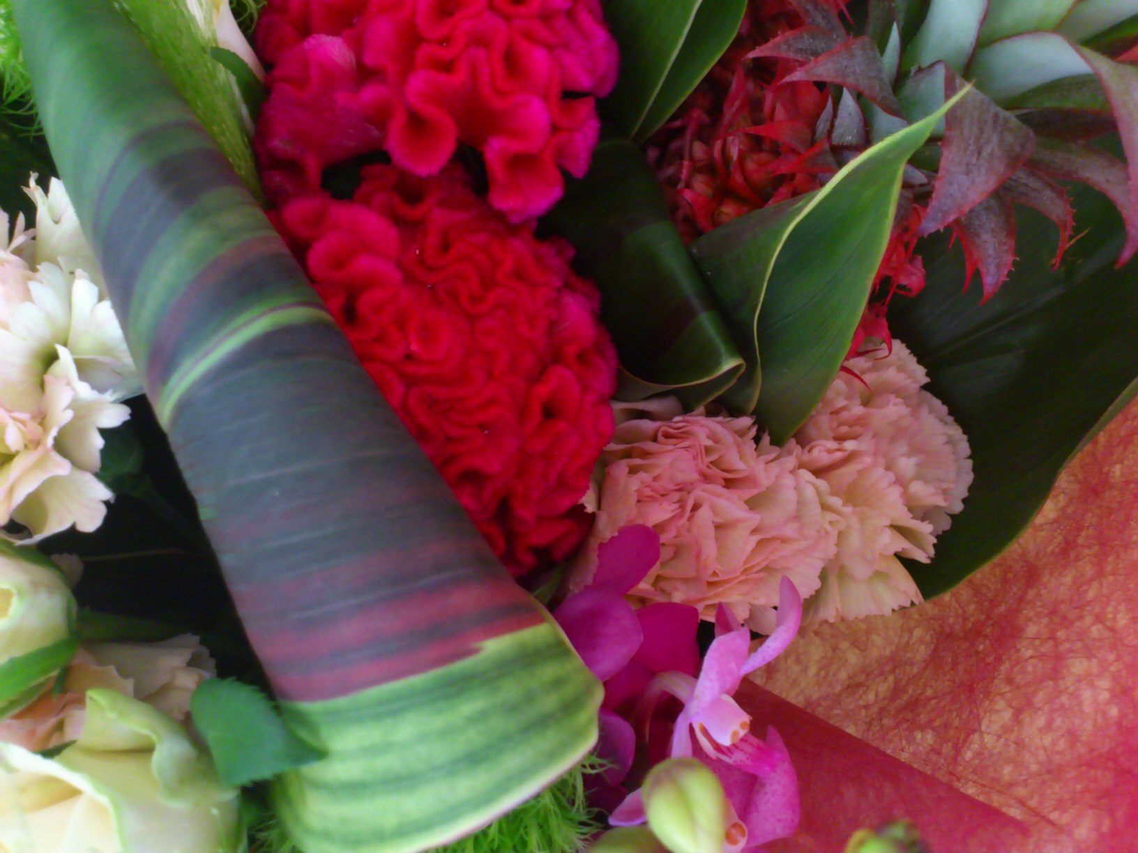 e0128024_131218.jpg