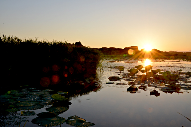 -izunuma snap   夕景-_f0235326_0222985.jpg