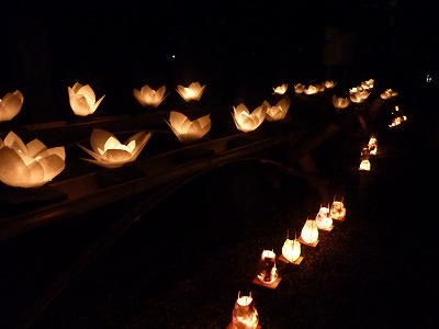 イベント。_b0209132_19395942.jpg