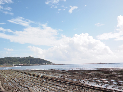 宮崎旅行_b0235444_14282832.jpg