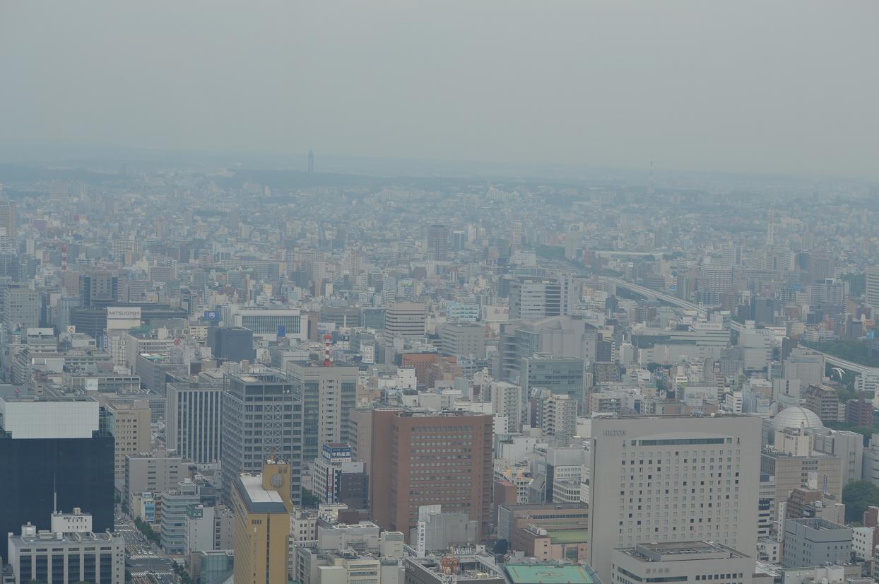 a0055650_811540.jpg