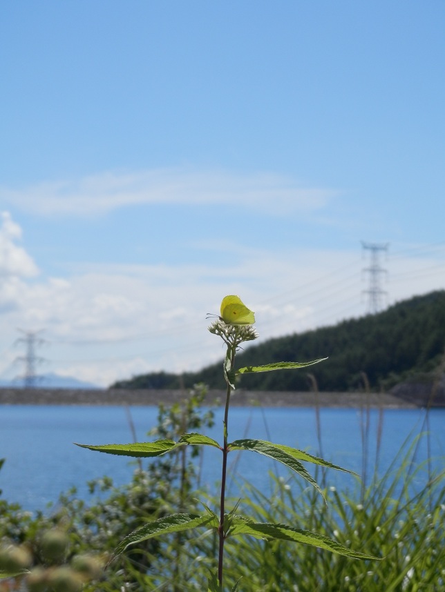 a0235150_21215130.jpg