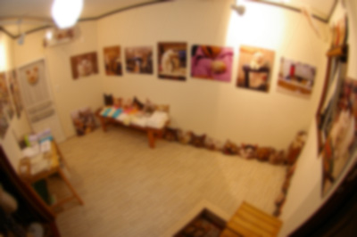 祝復活!ギャラリィトウキョウジョウうちの猫ら大判焼展_a0028451_134366.jpg