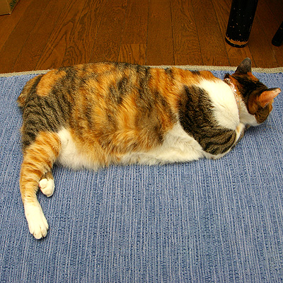 12回目のミルク記念日_a0028451_35473.jpg