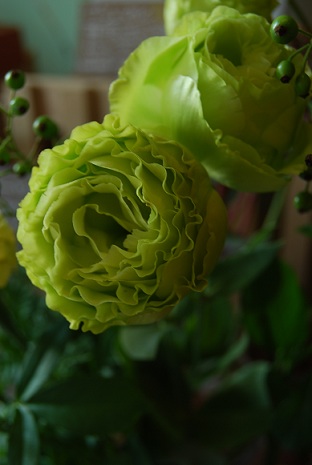 a0201358_16514070.jpg