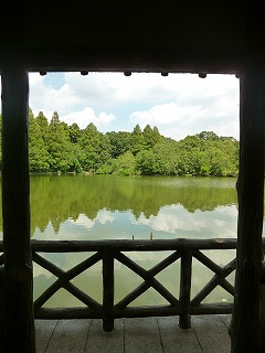 with dog 石神井公園 その1 散策♪ _a0165160_6235694.jpg