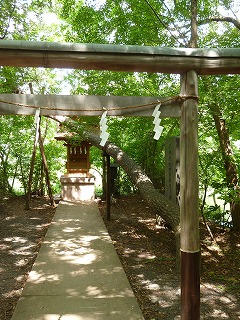 with dog 石神井公園 その1 散策♪ _a0165160_655301.jpg