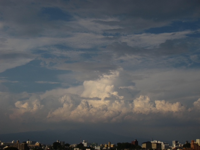a0208560_10391867.jpg