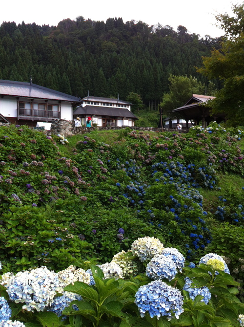 上畠アート2012_b0151262_19182213.jpg