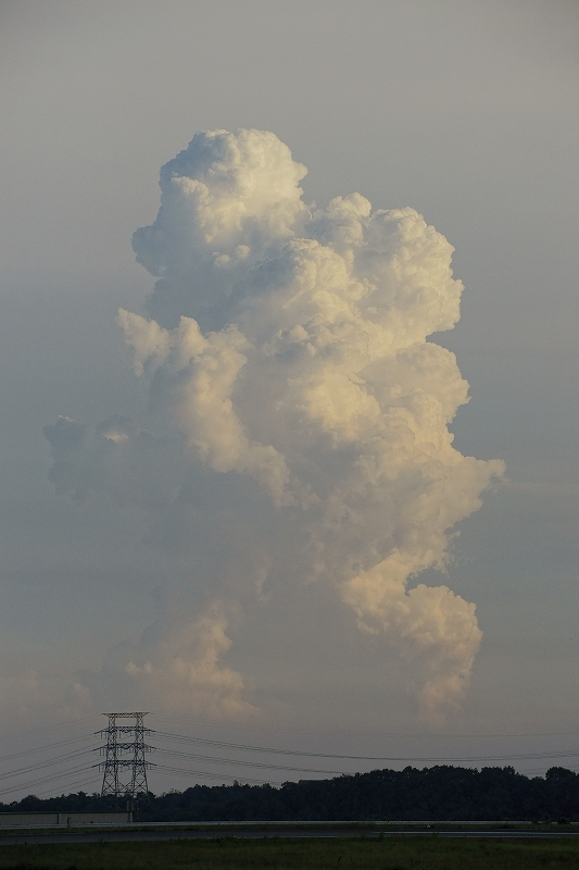 b0198768_23563259.jpg