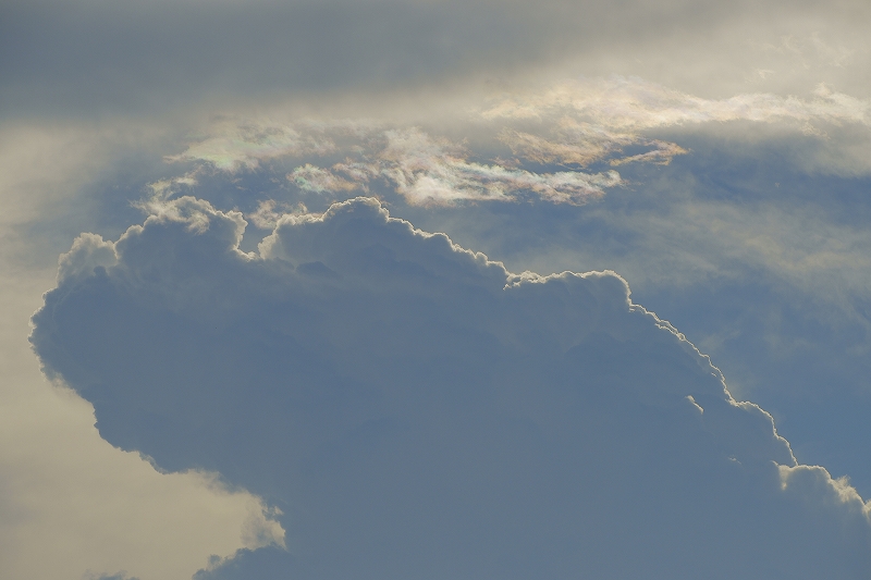 b0198768_2359254.jpg