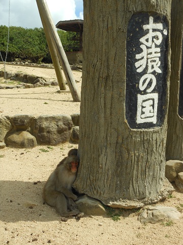 小豆島・おさるの国_e0100469_136219.jpg