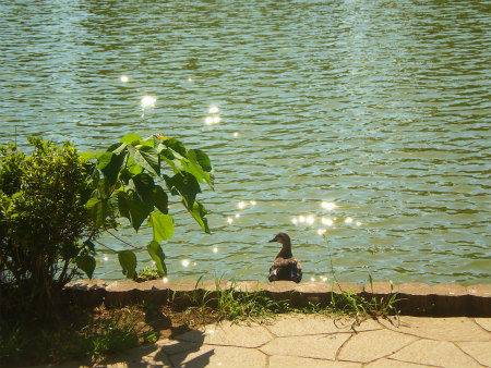 b0056570_2356731.jpg