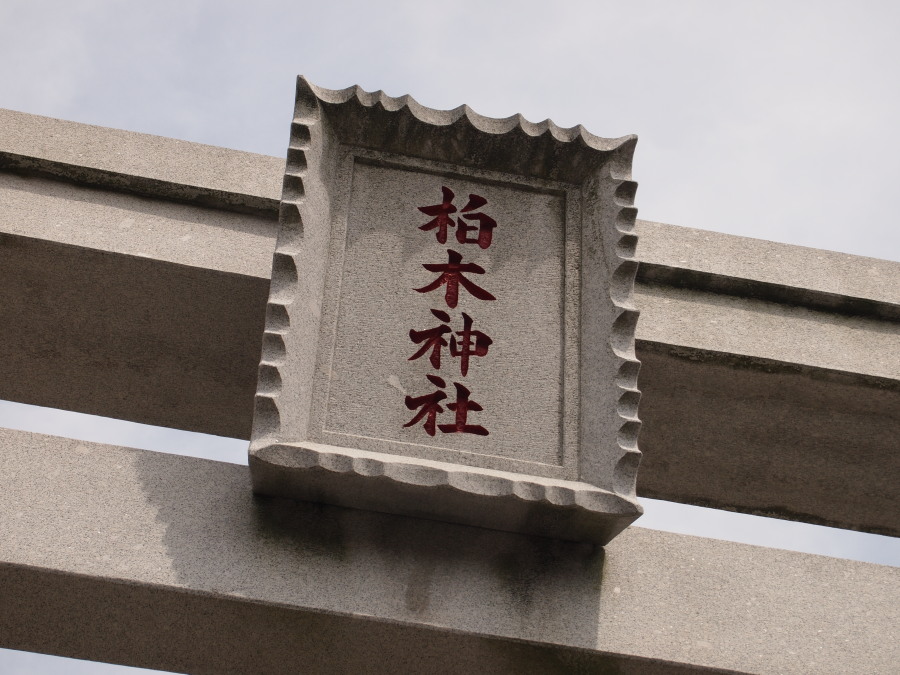 e0163471_1730940.jpg