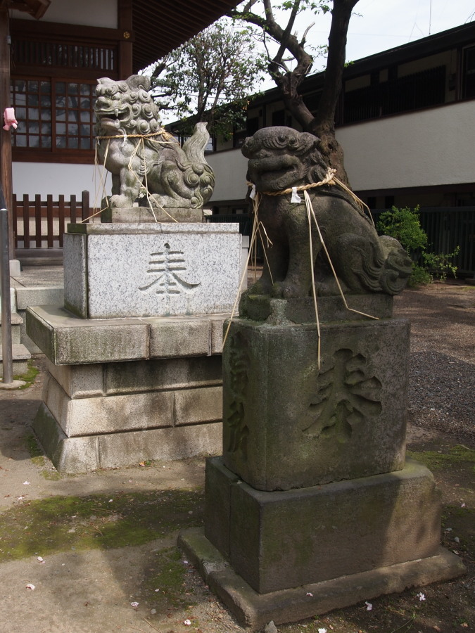 e0163471_17422649.jpg