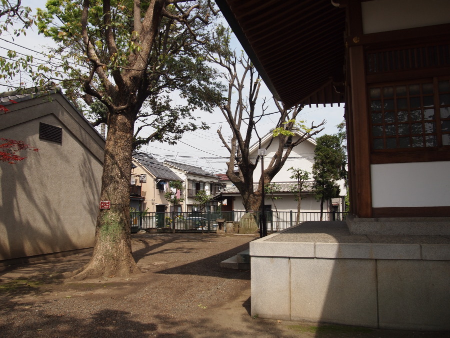 e0163471_1743927.jpg