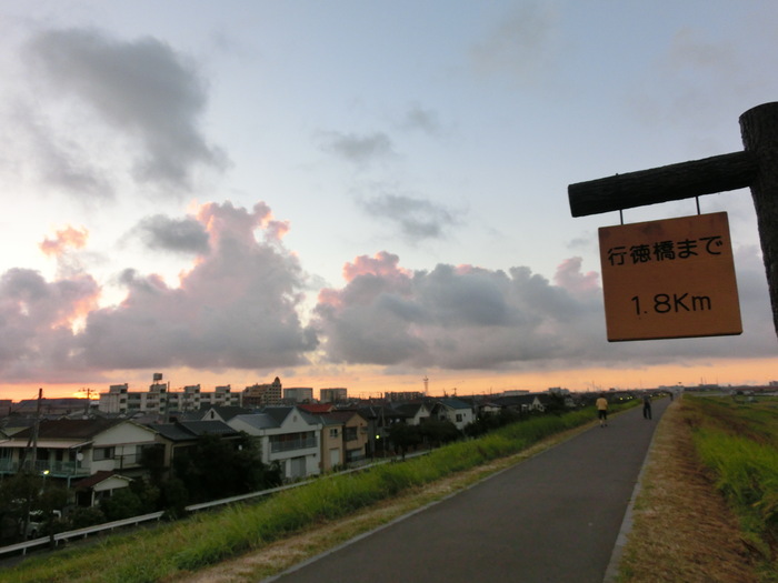 12.08.24 江戸川土手　光芒なう~ ♪♪ （ おまけ付 ）_e0240573_1120642.jpg