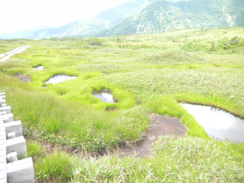 c0146875_8102988.jpg