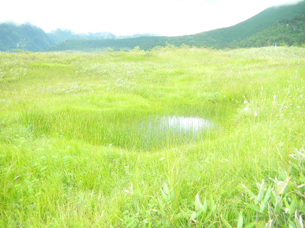 c0146875_8121259.jpg