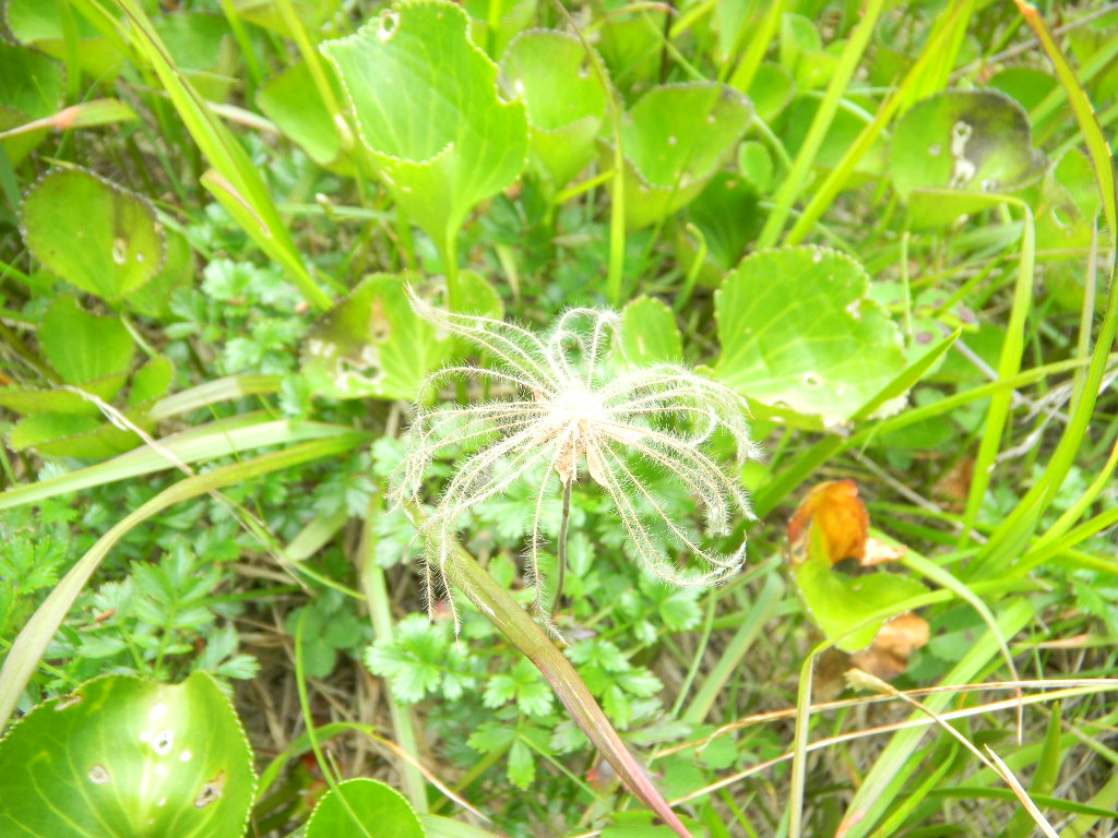 c0146875_8125145.jpg