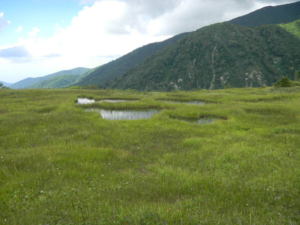 c0146875_8617.jpg