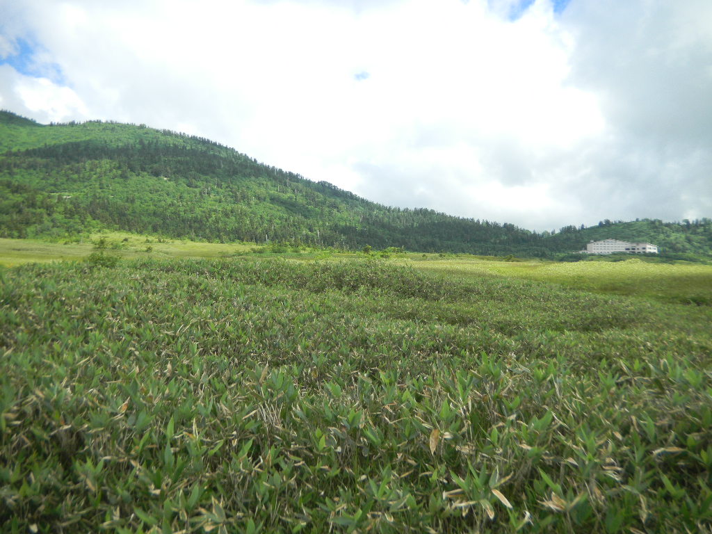 c0146875_872729.jpg