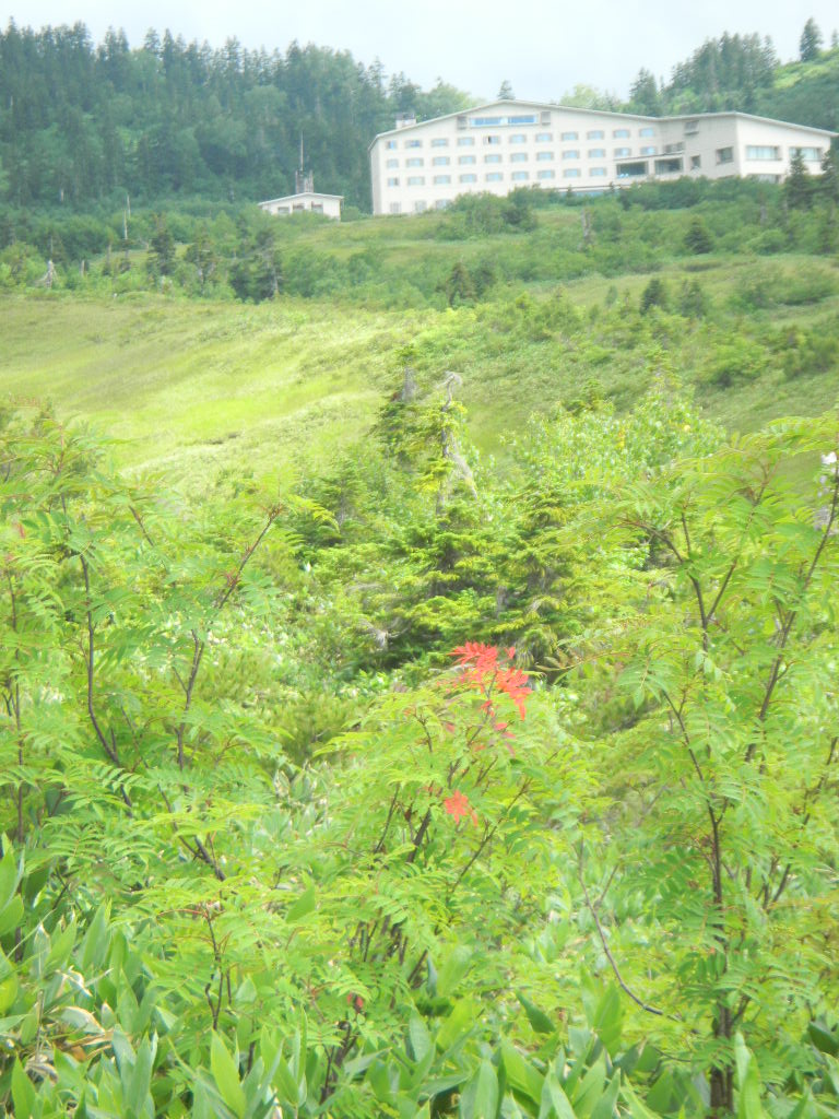 c0146875_885230.jpg