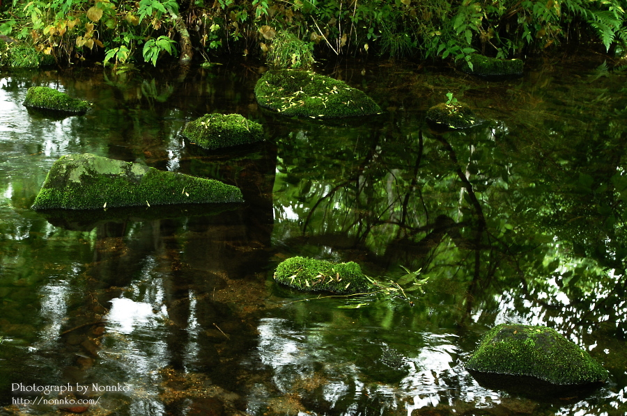 c0106977_0206.jpg