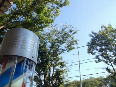 残暑が続きます。_a0126379_15203076.jpg