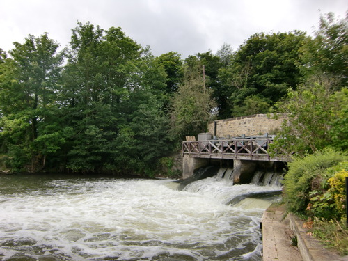 a0125981_16393322.jpg
