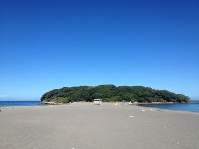 沖の島_c0204289_12415254.jpg