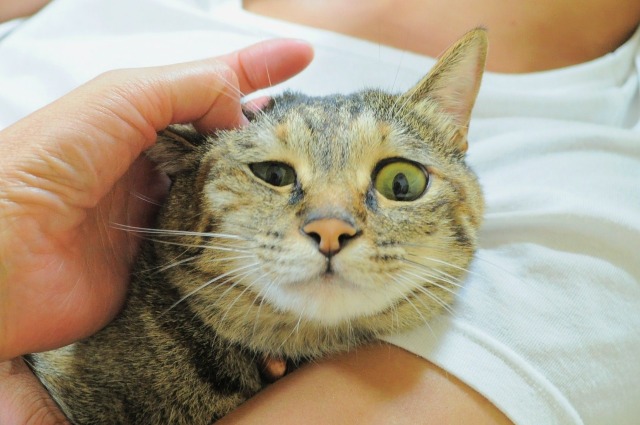 プールの後は_a0126590_6344258.jpg