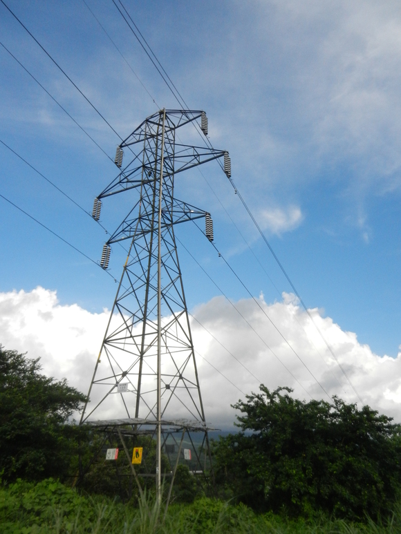 d0224990_2061377.jpg