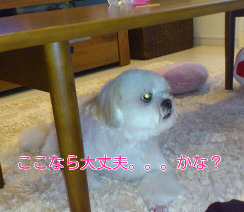 b0237894_21242768.png