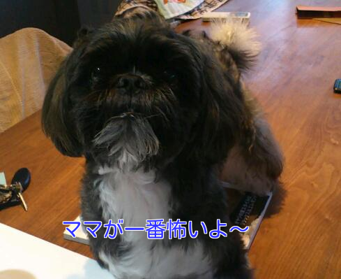 b0237894_21265183.png
