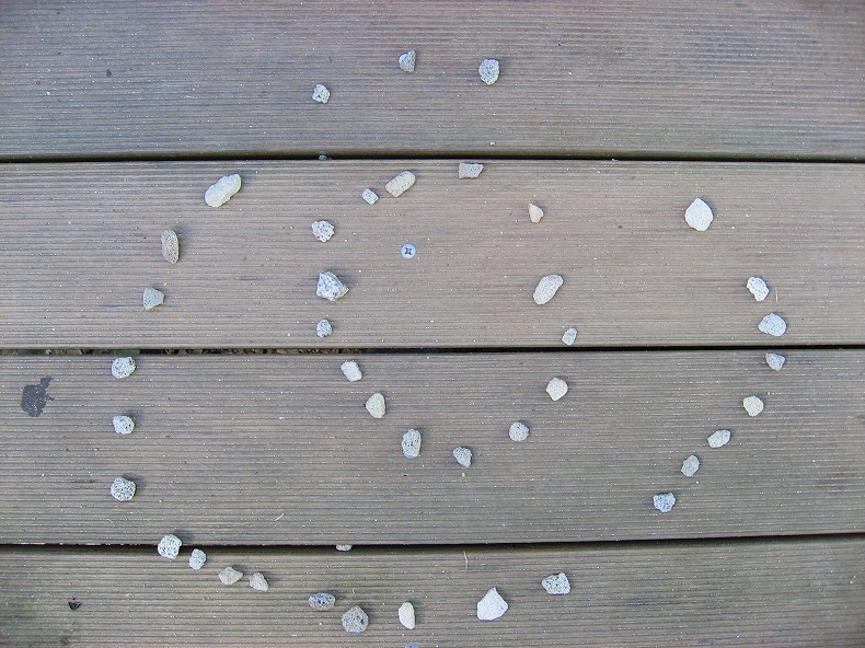 c0204298_1330356.jpg
