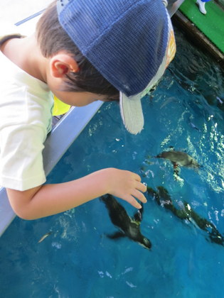 須磨海浜水族園_e0097701_1027277.jpg