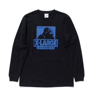 X-LARGE FALL NEW ITEM_a0106202_1373315.png