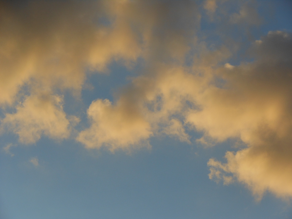 a0163402_15375275.jpg