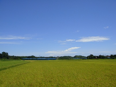 真夏の昼 in 大原_a0167803_1546196.jpg