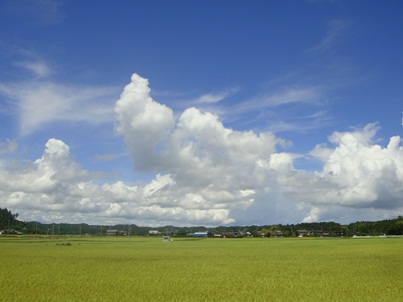 真夏の昼 in 大原_a0167803_15522876.jpg