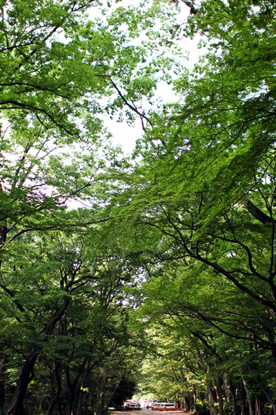 c0228404_2111100.jpg