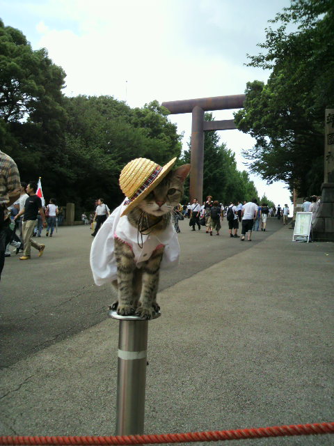 e0031605_2332269.jpg