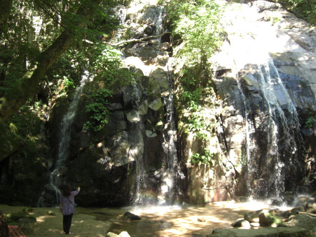 e0252905_17382.jpg