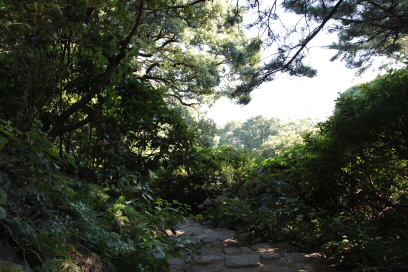 b0218806_21175064.jpg
