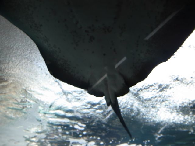f0159406_2140161.jpg