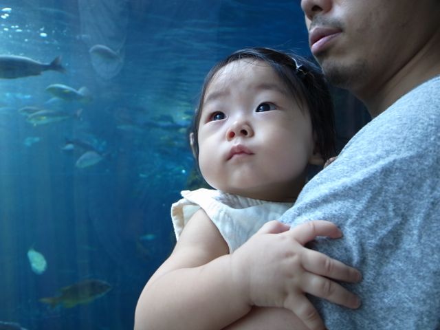 f0159406_2140592.jpg