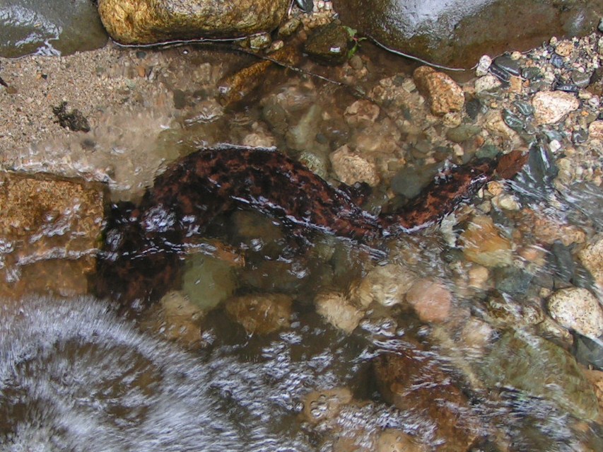 e0148909_2218332.jpg